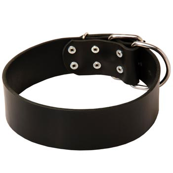 Leather Amstaff Collar for Control During Walking
