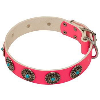 Safe Walking Leather   Amstaff Сollar Pink Studded