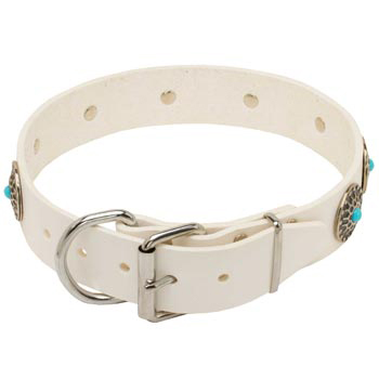 Leather   Amstaff Collar White Fancy for Dog Training, Walking