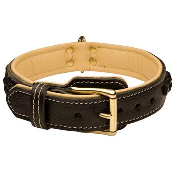 Amstaff Decorated  Leather Dog Collar