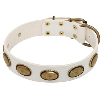 White Leather Amstaff Collar with Vintage Oval Plates