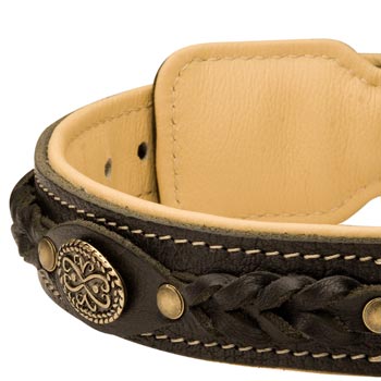  Leather Walking Fashion Collar for Amstaff