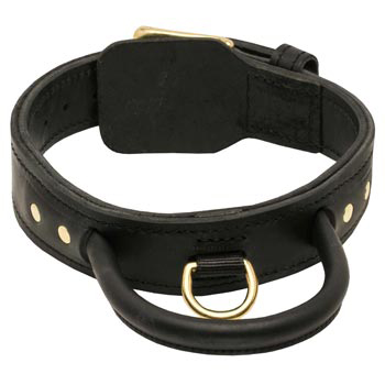 Leather Dog Collar with Handle for Amstaff