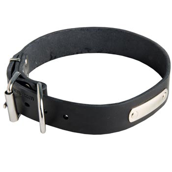 Leather Amstaff Collar for Identification