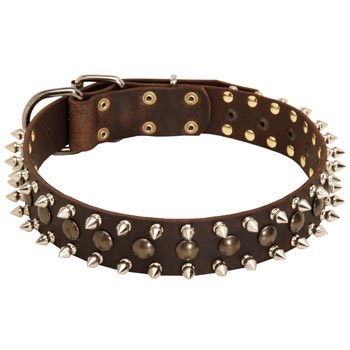 Amstaff Leather Collar with Stylish Decoration