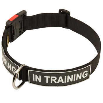 Nylon Amstaff Collar With ID Patches