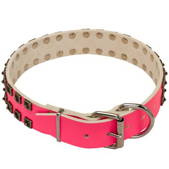 Amstaff Pink Leather Collar for Walking She-Dogs