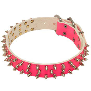 Pink Leather Collar for Amstaff She-Dogs