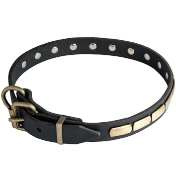 Amstaff Leather Dog Collar with Brass Buckle 
