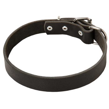 Leather Dog Collar Simple  Design for Amstaff