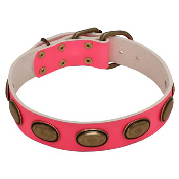 Pink Leather Amstaff Collar for Female Dogs