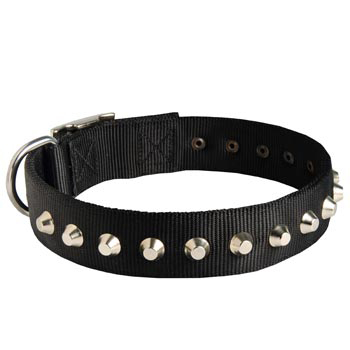 Walking Nylon   Amstaff Collar Nickel Studded Waterproof