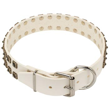 White Leather Dog Buckle Collar for Amstaff
