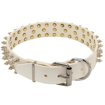 Spiked Leather Amstaff Collar