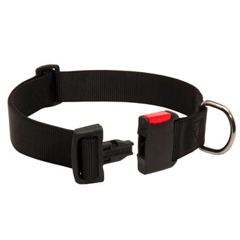 Reliable Nylon Amstaff Collar