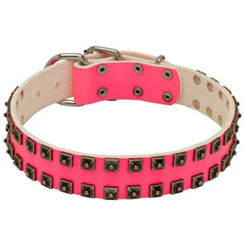 Studded Pink Leather Collar for Amstaff She-Dogs