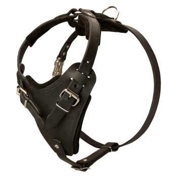 Dog Attack Training Amstaff Harness Easy Adjustable