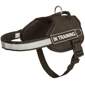 Nylon Amstaff Harness Multifunctional All-Weather Practical