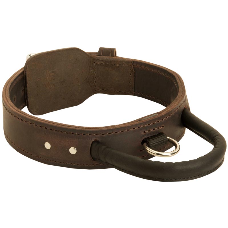 Extra Durable Leather Amstaff Collar with Handle for Attack Training