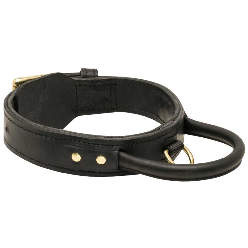 Extra Durable Leather Amstaff Collar with Handle for Attack Training