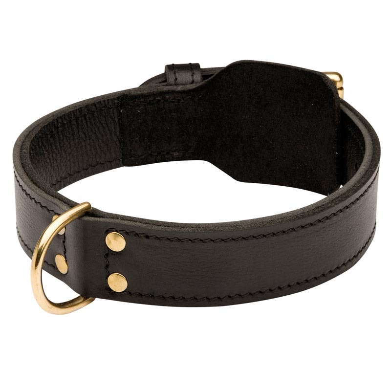 Training 2 Ply Leather Amstaff Collar