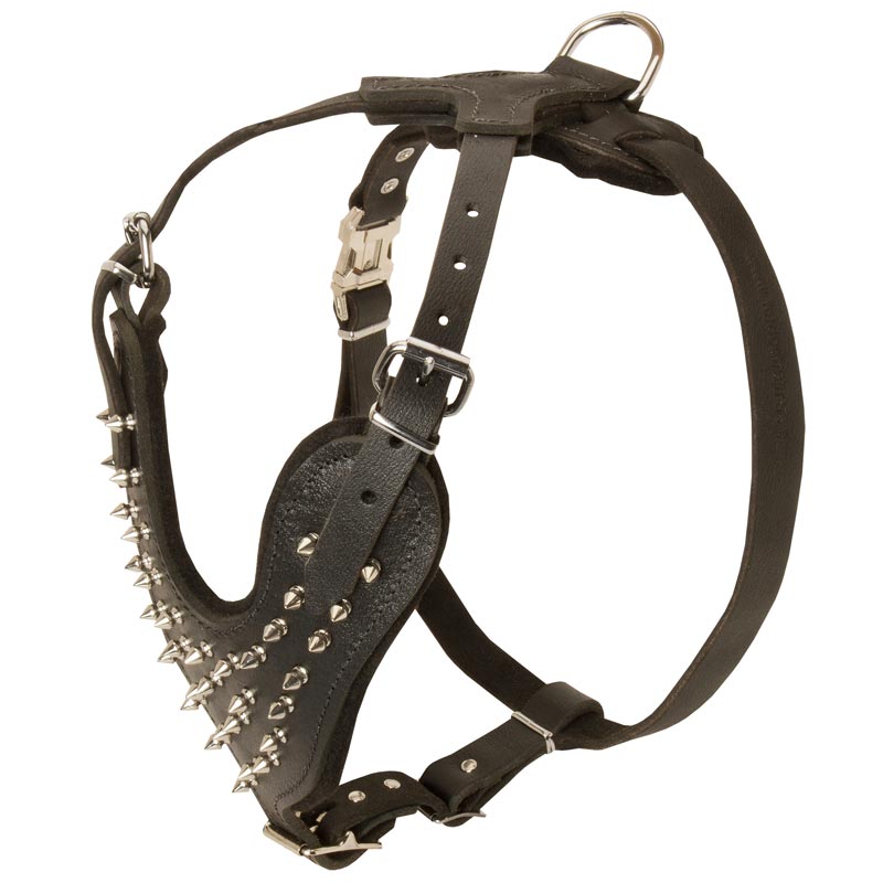 Spiked Leather Amstaff Harness for Fashionable Walking - Click Image to Close