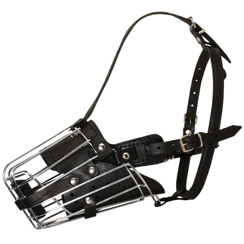 Basket Wire Amstaff Muzzle Padded All Over