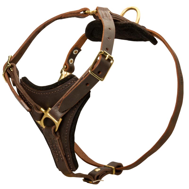 Tracking Leather Amstaff Harness With Y-Chest Plate