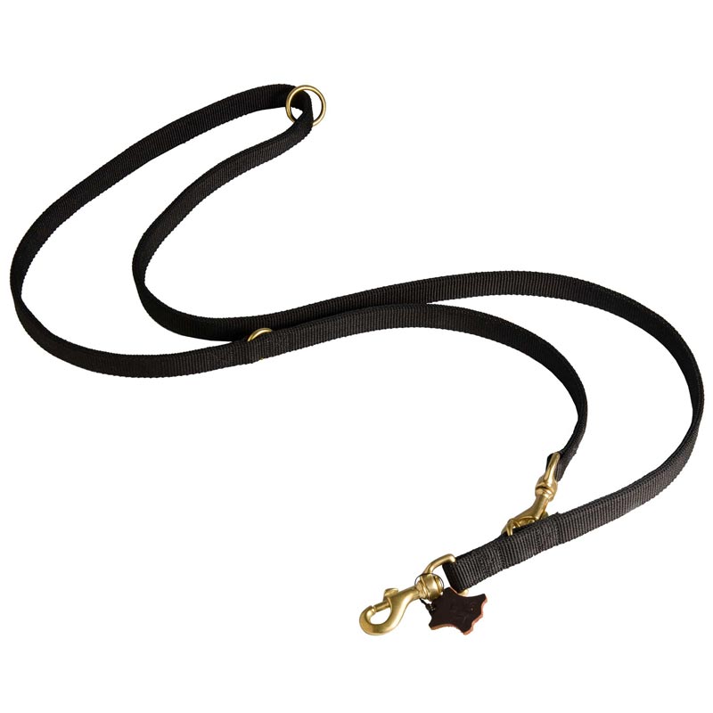 Nylon Amstaff Leash for Patrolling, Walking and Training