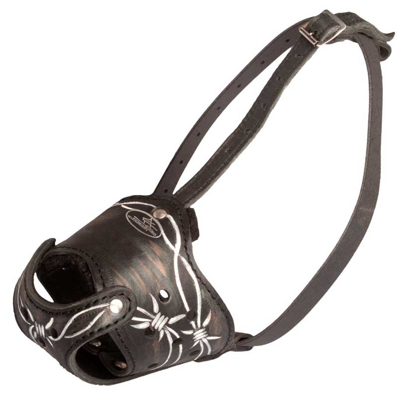 Barbed Wire Painted Leather Amstaff Muzzle for Training