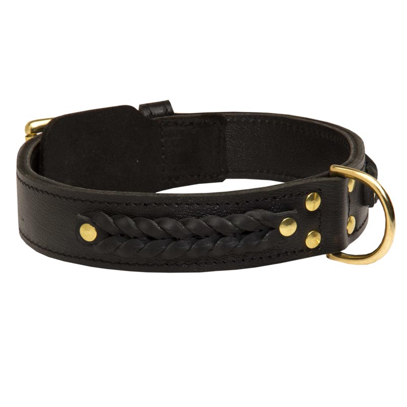 Incredible Design Amstaff Braided Leather Collar