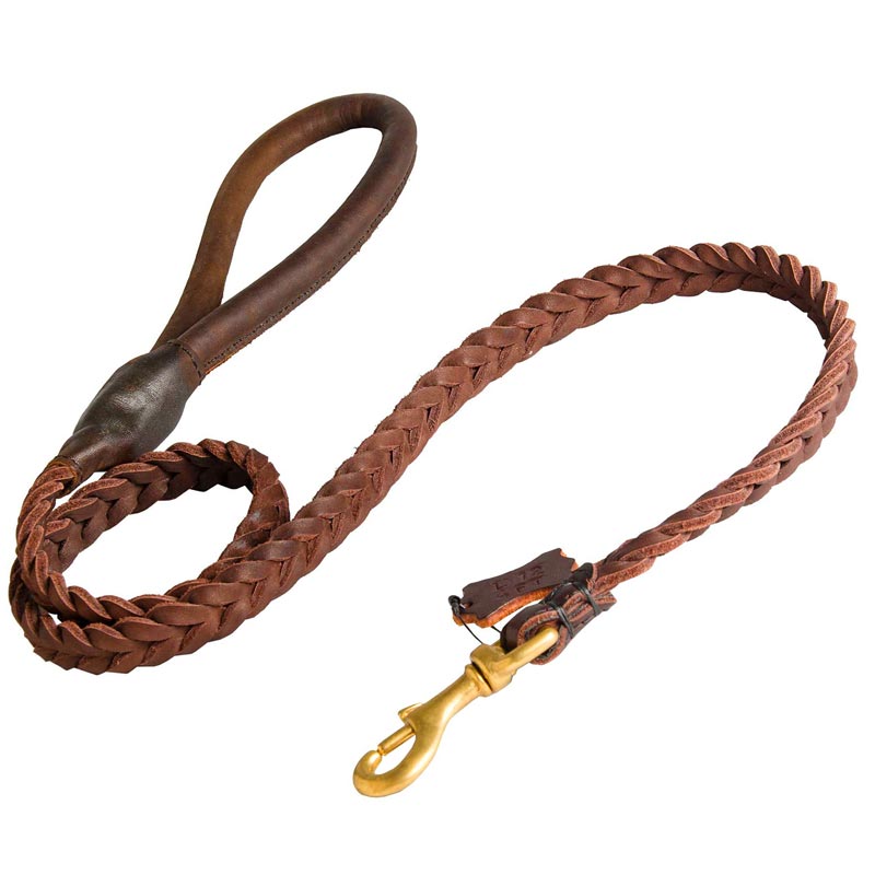 Amstaff Leather Braided Dog Leash