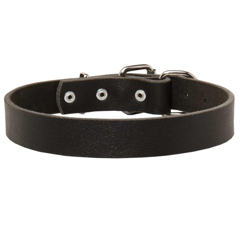 Amstaff Leather Dog Collar For Pleasant Wearing