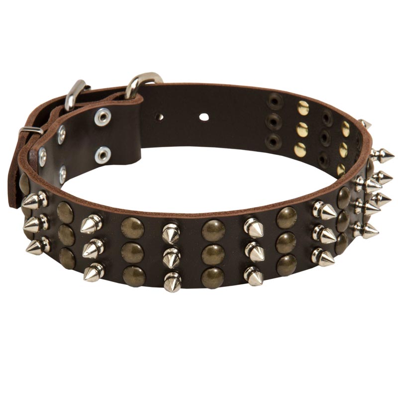 Amstaff Spikes and Studs Rows Leather Dog Collar