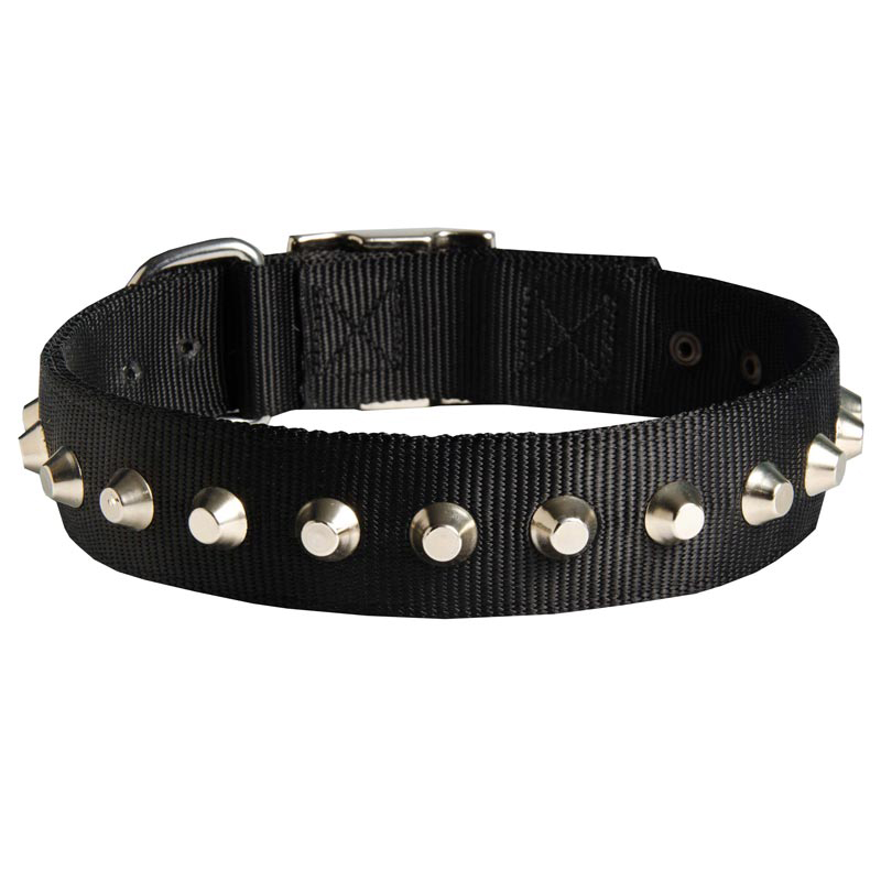 Exclusive Nylon Amstaff Collar with Awesome Nickel Cones