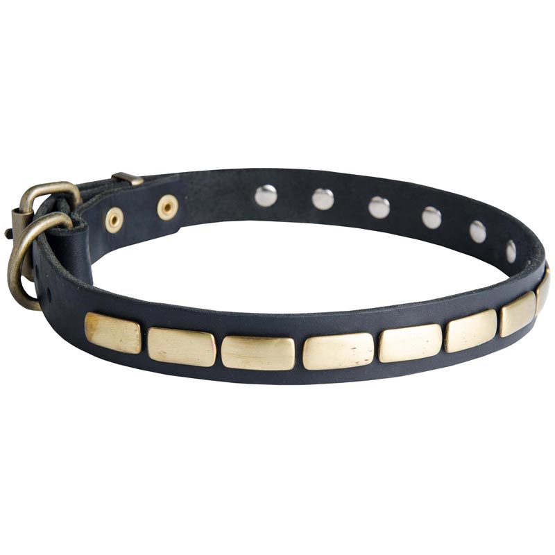 Amstaff Leather Collar Brass Plates 25 mm