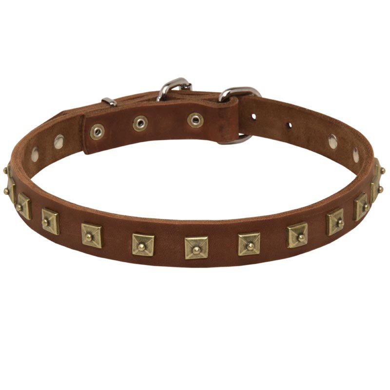 Handcrafted 1 Row Square Studded Leather Amstaff Collar