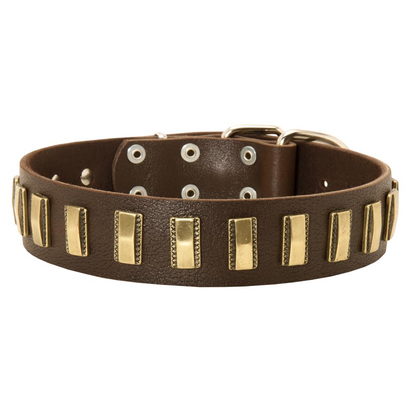 Amstaff Leather Collar with Shiny Plates