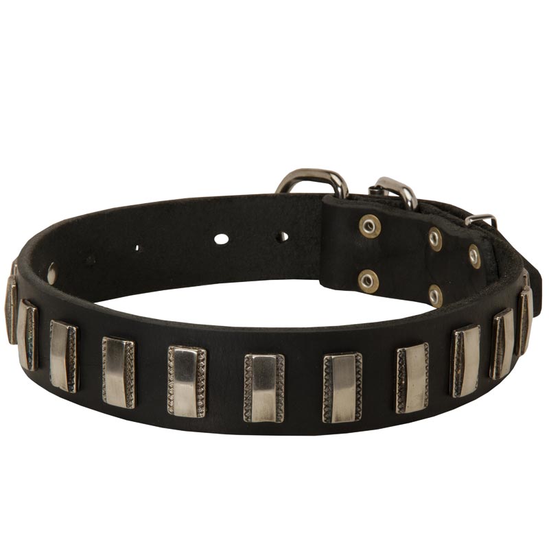 Amstaff Leather Collar with Shiny Plates