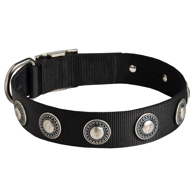 Amstaff Nylon Dog Collar with Circles Decoration