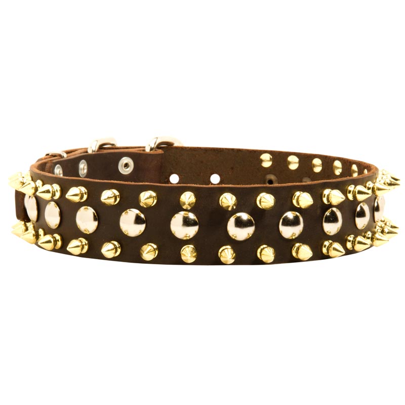 Spiked and Studded Amstaff Leather Collar