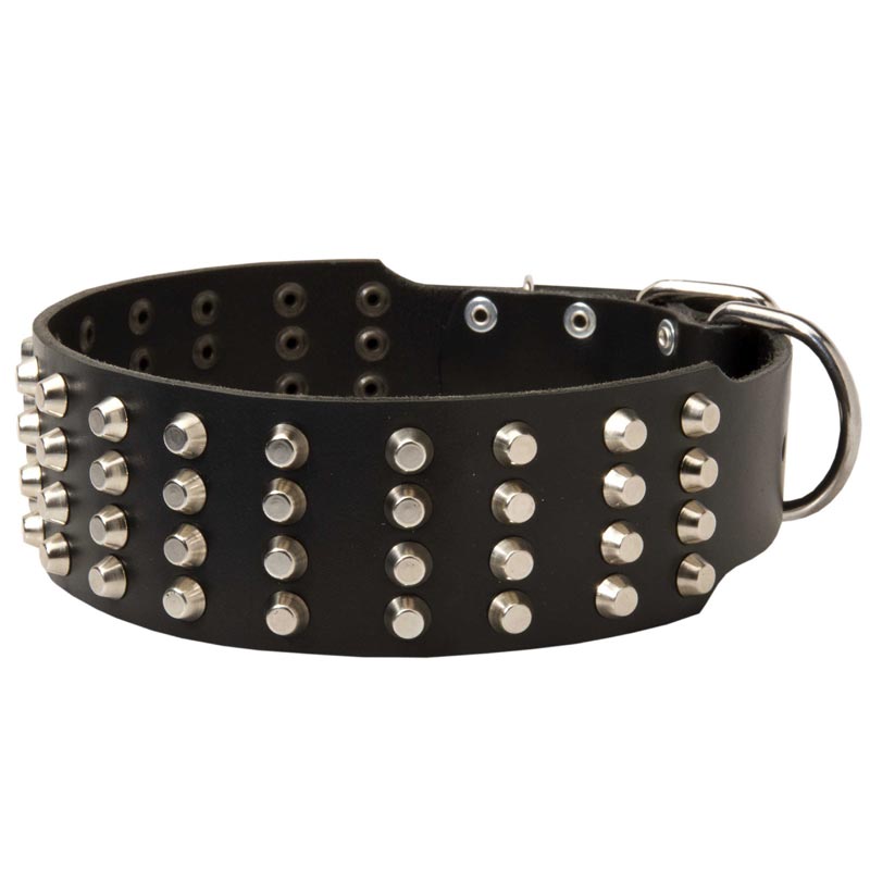 Extra Wide 4 Rows Studded Leather Amstaff Collar