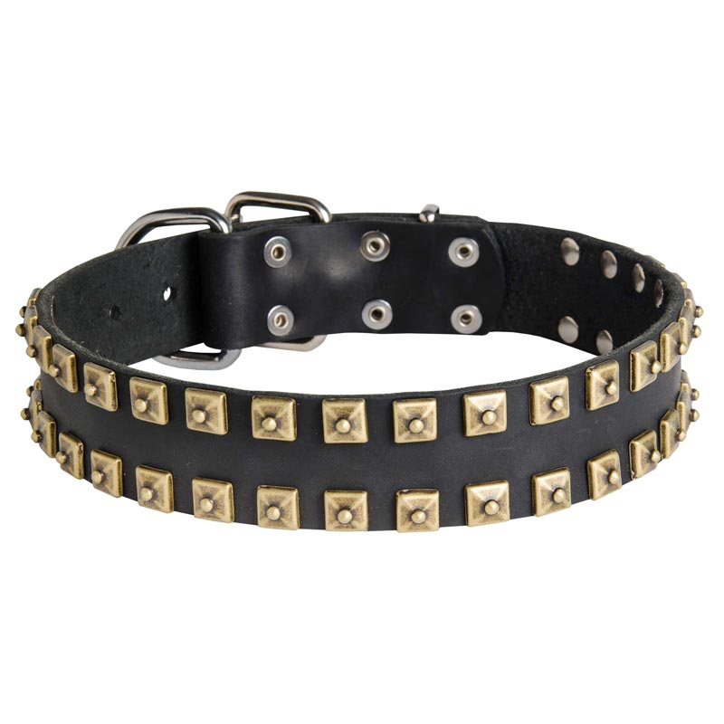 2 Rows Brass Studded Leather Amstaff Collar for Walking and Training