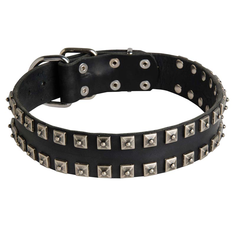 New Leather Amstaff Collar - Fashion Exclusive Design - "Caterpillar"