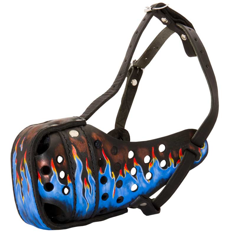 Ergonomic Design Leather Amstaff Muzzle for Agitation Training