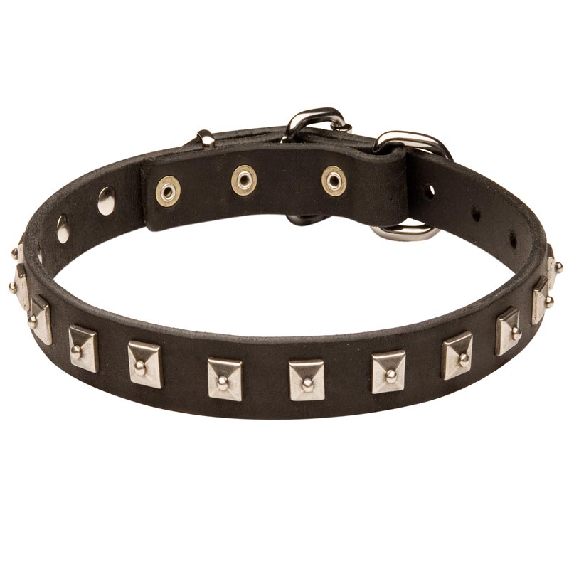 Amstaff Leather Collar Caterpillar Design