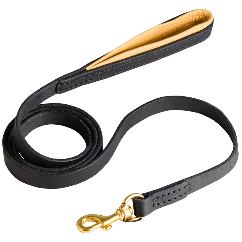 Padded on Handle Leather Amstaff Leash for Walking and Training
