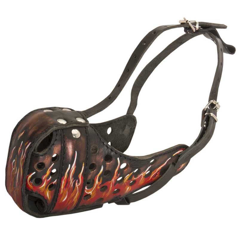 Burning Fire Hand Painted Leather Amstaff Muzzle for Attack Training