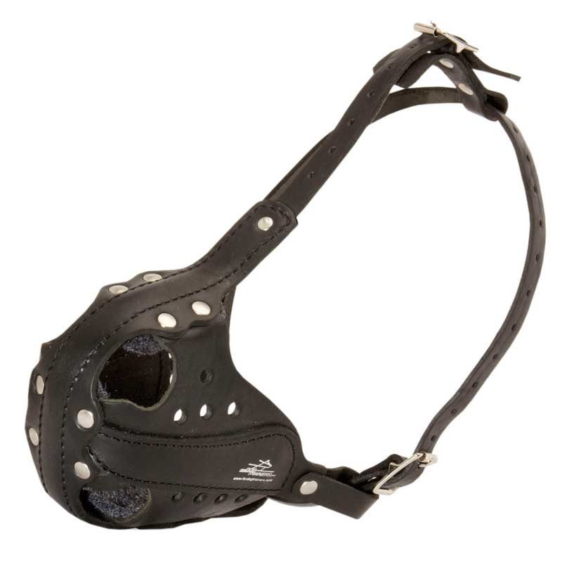 Leather Amstaff Muzzle for Agitation Training and Military Service