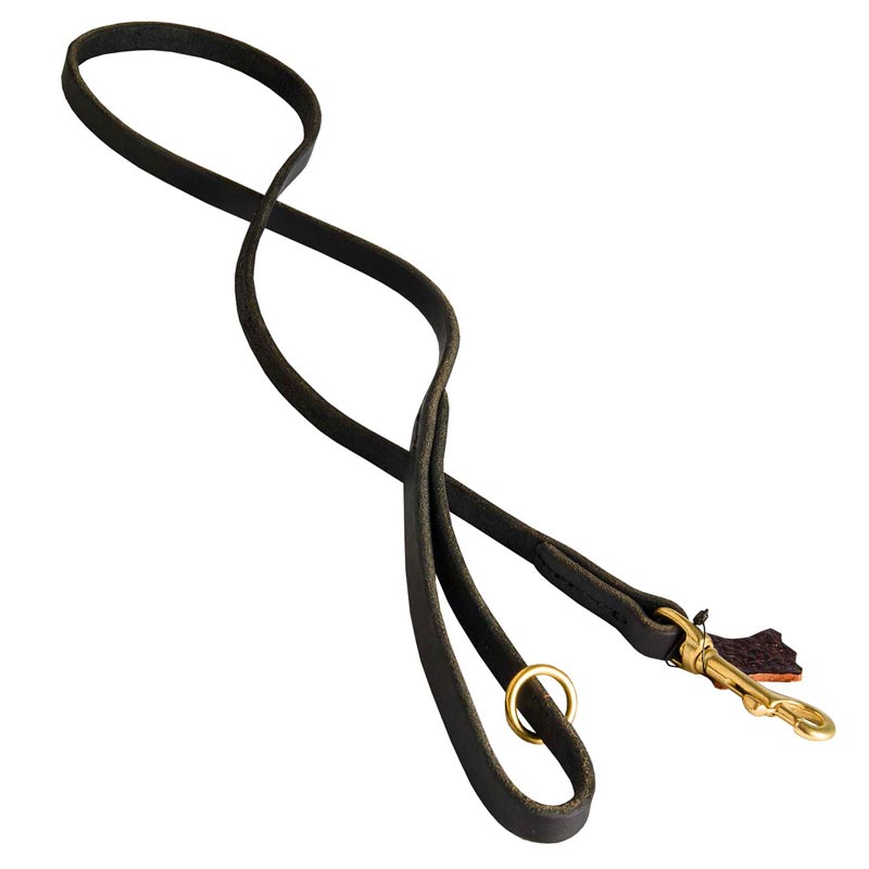 Handcrafted Leather Amstaff Leash for Walking and Tracking
